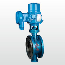 D943H-16C 電動蝶閥