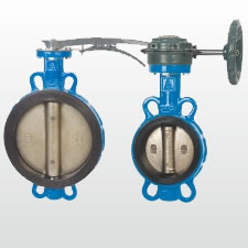 D71X-16Q D371X-16Q 蝶閥