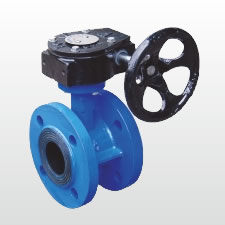 D341X-16Q 蝸輪法蘭蝶閥